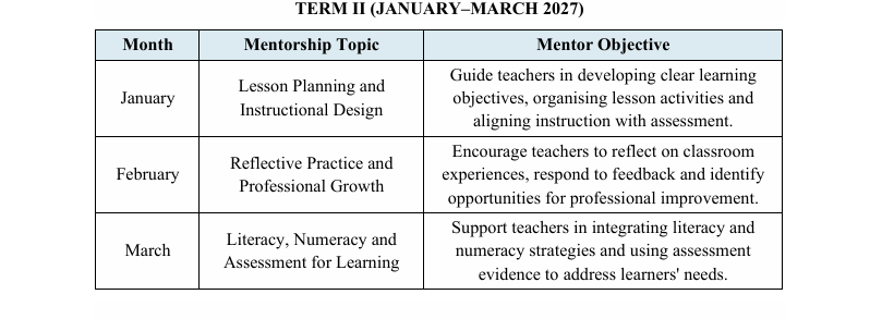 term2 mentors