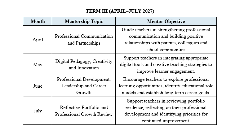term3 mentors